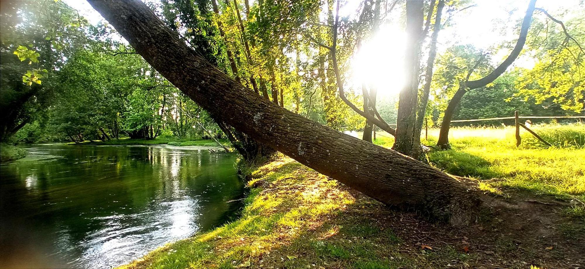 Villa La Regina Del Bosco Rivignano Esterno foto