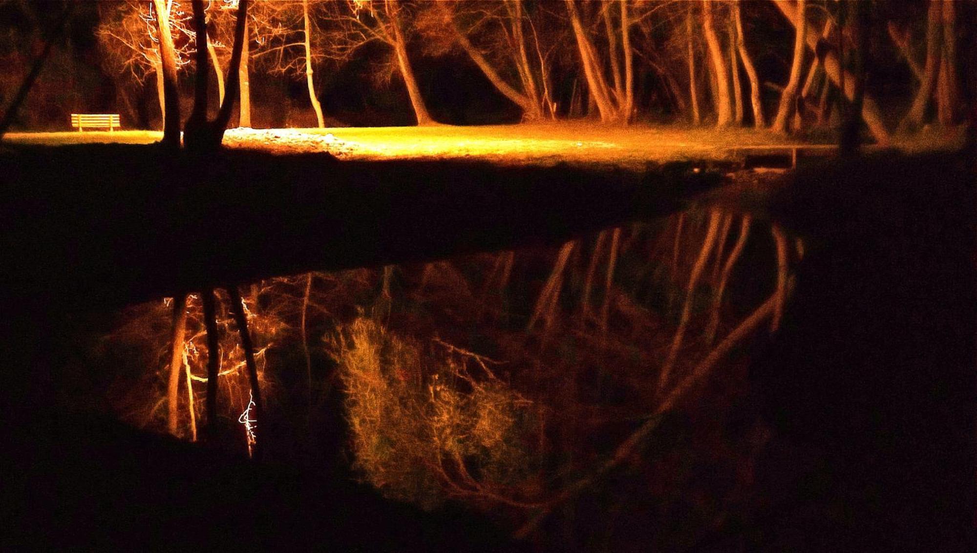 Villa La Regina Del Bosco Rivignano Esterno foto